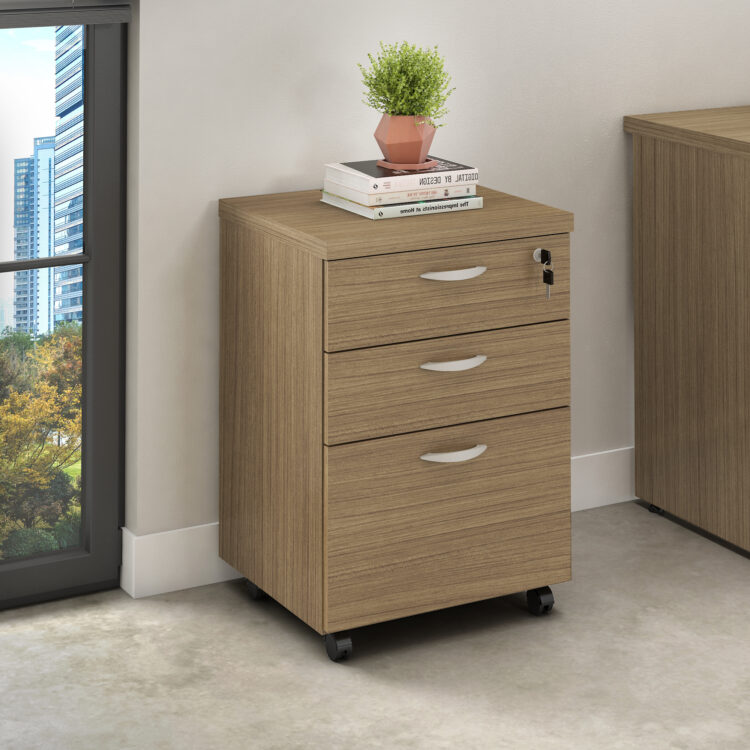 Gaveteiro Móvel 2 Gavetas e Pasta